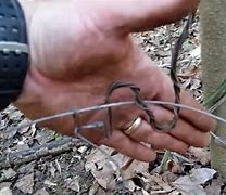 Image result for Rabbit Snare