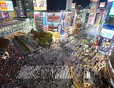 Image result for Tokyo Tourist