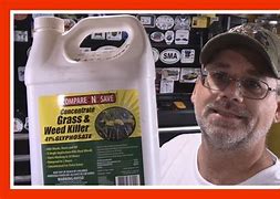 Image result for Compare-N-Save 41% Glyphosate Grass And Weed Killer Concentrate, 32 Oz., 75323