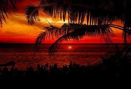 Image result for Red Beach Sunset with Palm Trees