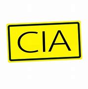 Image result for CIA Pin