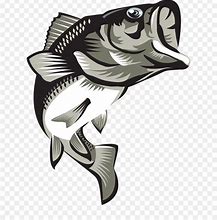 Image result for The Beauty of Bass Logo