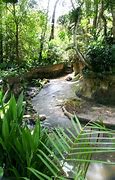 Image result for Singapore Zoological