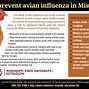Image result for Bird Flu Signs and Symptoms