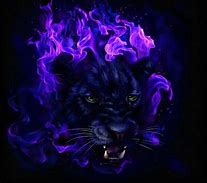 Image result for Purple Fire Tiger