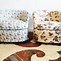 Image result for Wood Chairs Set for Living Room
