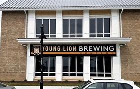 Image result for young lion brewing