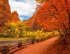 Image result for Zion National Park Fall