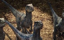 Image result for Jurassic Park 1 Raptor