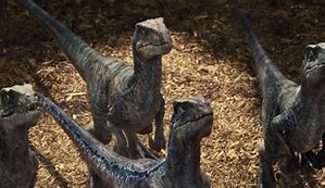 Image result for Raptors From Jurassic World
