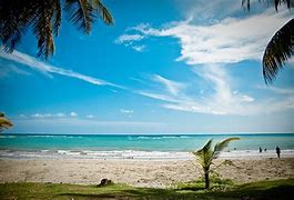 Image result for Breezy Beach