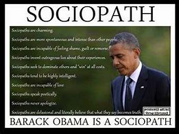 Image result for Obama the unconstitutional candidate