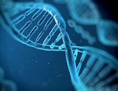 Image result for Genetic Disorders