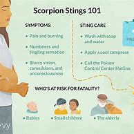 Image result for Home Remedy Scorpion Sting