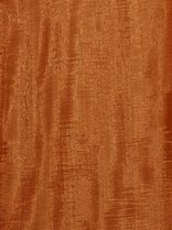 Image result for Mahogany Wood Veneer