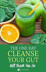 Image result for 1 Day Cleanse