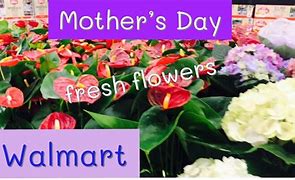 Image result for Walmart Fresh Flowers Plants