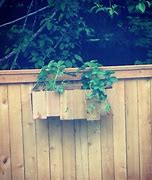 Image result for Cedar Wood for Planter Boxes