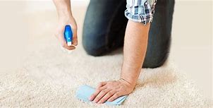 Image result for Carpet Odors Removal