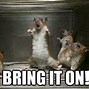 Image result for Jokes About Rats