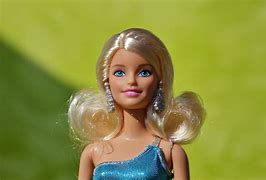 Image result for Aminifullife Barbie Family