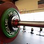 Image result for Gym Weights Plates Tree