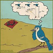 Image result for Physics Cartoon