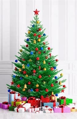 Image result for best christmas trees