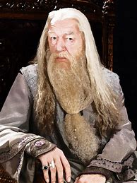 Image result for Harry Potter Wizard Portraits