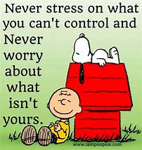 Image result for Funny Worry Quotes