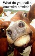 Image result for Farm Animal Funny Jokes