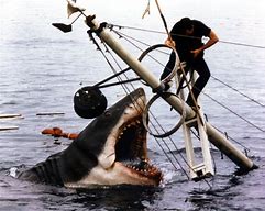 Image result for Jaws Movie