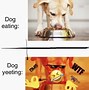 Image result for Funny Dog Meme Wallpapers