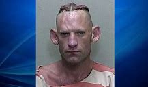 Image result for Florida Man August 1