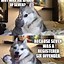 Image result for Two Dogs Pun Meme