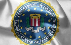 Image result for FBI Most Wanted Stars