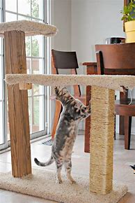 Image result for DIY Cat Scratching Post