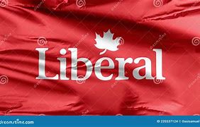 Image result for Liberal Party Flag