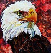 Image result for bald eagles art