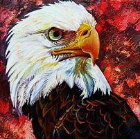 Image result for Colorful Bald Eagle Artwork
