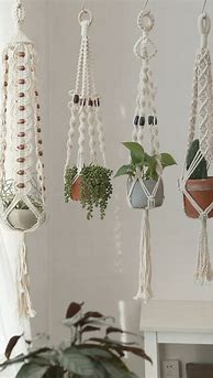 Image result for Plant Hangers