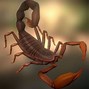 Image result for Anime Scorpion Animal