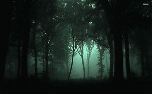 Image result for Night Forest Desktop Background
