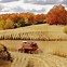 Image result for Beautiful Autumn Harvest Backgrounds