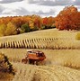 Image result for Harvest Fall Color
