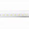 Image result for T5 Replacement Bulb, 24"