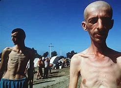 Image result for Bosnian Genocide