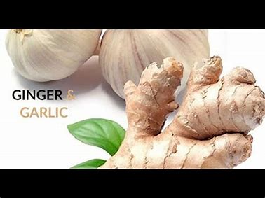 Image result for Ginger and Garlic for Cancer prevention and treatment