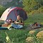 Image result for Camping HeatGear