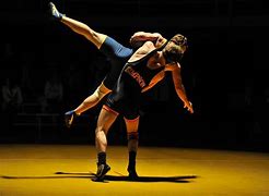 Image result for Wrestlers Cool Wallpaper Tigers